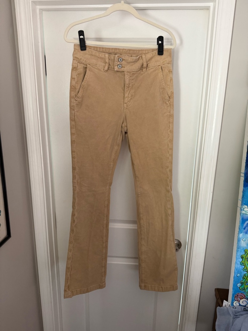 American Eagle Corduroy Pants Long